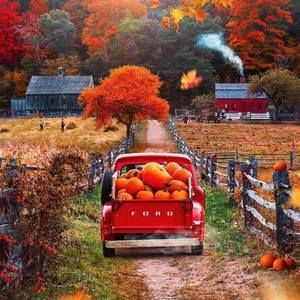 Meet your Posher, Dawn